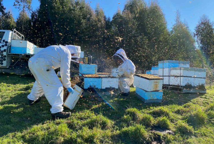 Nzs First Farm Sustainability Linked Loan Southern Pastures